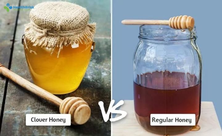 Clover Honey Vs Regular Honey