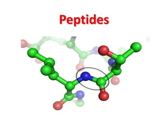 Everything you need to know about peptides for weightloss